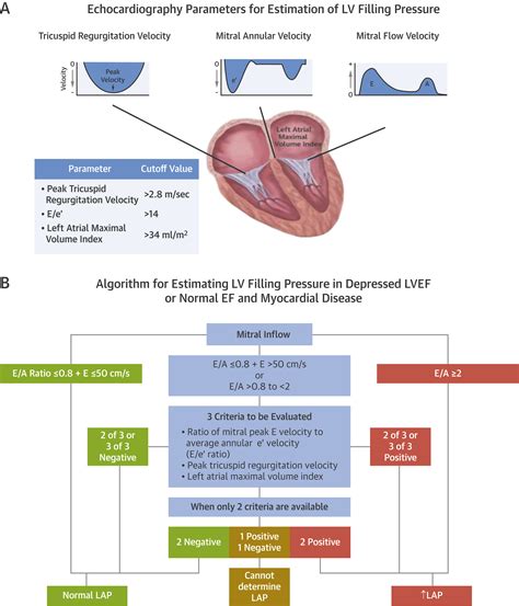 lv diastolic volume